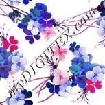 Colour:B