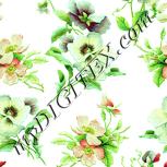 Colour:K
