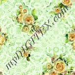 Colour:K