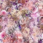 Colour:B