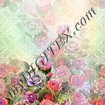 Colour:A