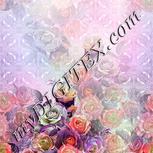 Colour:B
