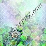 Colour:C