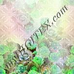 Colour:D