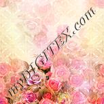 Colour:J