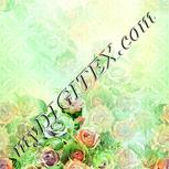 Colour:K