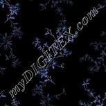Colour:F