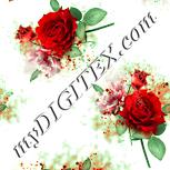 Colour:K