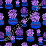 Colour:F