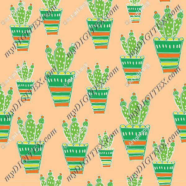 cactus in pinks and greens