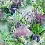 Colour:C