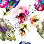 Colour:A