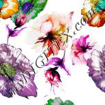 Colour:B