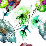 Colour:C