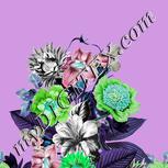 Colour:C