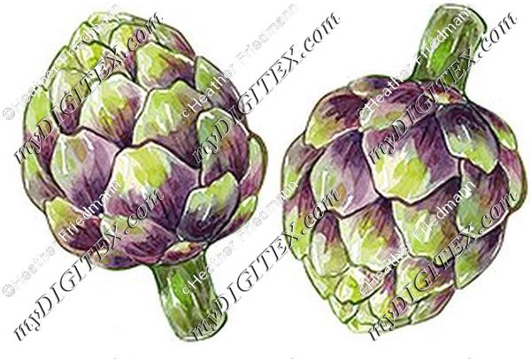 artichoke only