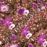 Colour:J