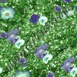 Colour:K
