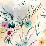Colour:A
