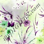 Colour:D