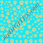 Colour:F