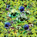Colour:K