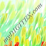 Colour:K
