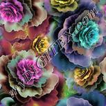 Colour:A