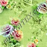 Colour:K