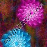 Colour:D