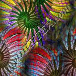 Colour:A