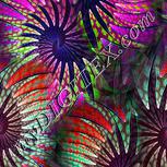 Colour:B