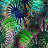 Colour:C
