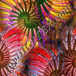 Colour:J