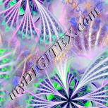 Colour:F
