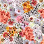 Colour:A