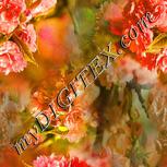 Colour:A