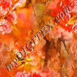 Colour:J