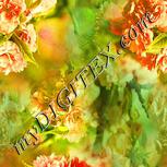 Colour:K