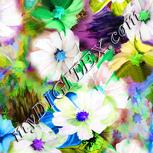 Colour:A