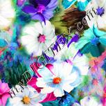 Colour:C