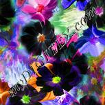 Colour:F