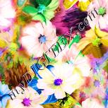 Colour:J