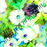 Colour:K