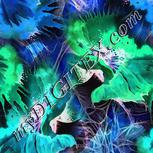 Colour:F