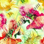 Colour:K