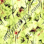 Colour:K