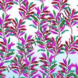 Colour:B