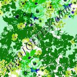 Colour:C