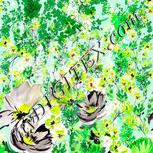 Colour:D